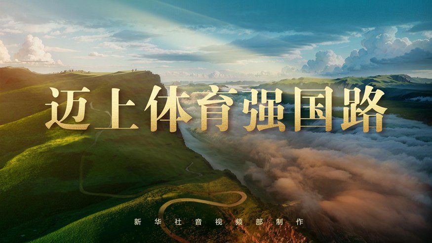 职业生涯的